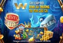 CÀY CẤP ĐỘ – RINH XU THƯỞNG TẠI VUA CÂU CÁ