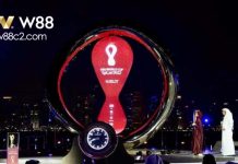 TOUR XEM WORLD CUP 2022 GIÁ HÀNG TRĂM TRIỆU ĐỒNG