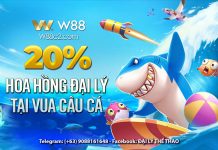 VUA CÂU CÁ ĐÃ CHÍNH THỨC ÁP DỤNG HOA HỒNG TẠI W88!