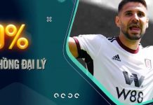 CHÍNH THỨC NÂNG HOA HỒNG LÊN 50% – KIẾM TIỀN KHÔNG GIỚI HẠN VỚI W88