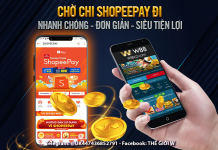 THANH TOÁN TIỆN LỢI VỚI VÍ ĐIỆN TỬ SHOPEEPAY