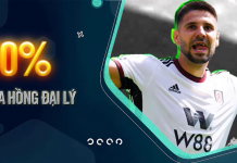 THAM GIA ĐẠI LÝ W88 – KIẾM TIỀN VỀ BỜ MUA WORLD CUP