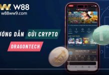 HƯỚNG DẪN DÙNG DRAGONTECH CRYPTO CÙNG W88 | THÀNH CÔNG 1OO%