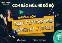 CƠN BÃO MÙA HÈ ĐỔ BỘ, ĐẠI LÝ ĐÓN BÃO TIỀN TÀI CÙNG W88