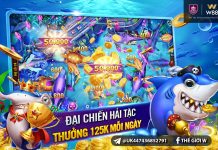 ĐẠI CHIẾN HẢI TẶC – THƯỞNG NÓNG 125 VND MỖI NGÀY