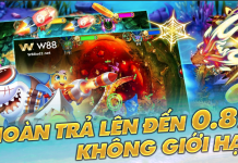 HOÀN TRẢ NGAY 0.8% TẠI THẾ GIỚI BẮN CÁ W88