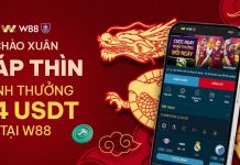 ĐẠI LÝ USDT TẠI W88 – KHÁM PHÁ CƠ HỘI ĐẦU TƯ