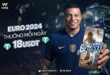 EURO CUP 2024 – CƯỢC HAY CMD THỂ THAO NHẬN LIỀN TAY 18 USDT MỖI NGÀY