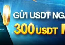 GỬI USDT NGAY – RINH THƯỞNG TỚI 300 USDT MỖI NGÀY TẠI W88