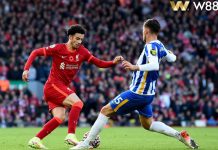 NHẬN ĐỊNH BÓNG ĐÁ LIVERPOOL VS BRIGHTON, 22H00 NGÀY 2/11: NHỌC NHẰN HẠ CHIM MÒNG BIỂN