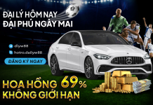 W88 ĐẠI LÝ HÔM NAY, “ĐẠI PHÚ” NGÀY MAI