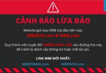 CÓ THỂ BẠN CHƯA BIẾT: CÁCH NHẬN BIẾT TRANG WEB GIẢ MẠO W88