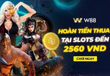 HOÀN TIỀN THUA CƯỢC TẠI SLOTS LÊN ĐẾN 2,560 VND