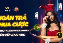 HOÀN TRẢ TIỀN THUA CƯỢC TẠI PLAYBOY CLUB MICROGAMING LÊN ĐẾN 3,720 VND