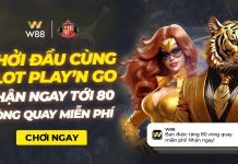 KHỞI ĐẦU CÙNG SLOT PLAY’N GO – NHẬN TỚI 80 VÒNG QUAY MIỄN PHÍ!