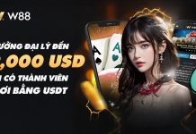 THƯỞNG 2,000 USD CHO ĐẠI LÝ CÓ THÀNH VIÊN CHƠI BẰNG USDT