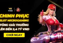 CHINH PHỤC SLOT MICROGAMING – TỔNG GIẢI THƯỞNG LÊN ĐẾN 2,4 TỶ VND