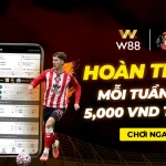 HOÀN TRẢ THÊM 1% MỖI TUẦN TỚI 5,000 VND TẠI BTi