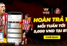 HOÀN TRẢ THÊM 1% MỖI TUẦN TỚI 5,000 VND TẠI BTi