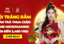 HỘI TRĂNG RẰM – NHẬN HOÀN TRẢ TIỀN THUA CƯỢC TẠI CLUB MICROGAMING LÊN ĐẾN 2,480 VND
