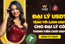 THƯỞNG 2,000 USD CHO ĐẠI LÝ CÓ THÀNH VIÊN CHƠI BẰNG USDT