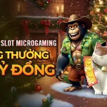 CHINH PHỤC SLOT MICROGAMING – TỔNG GIẢI THƯỞNG LÊN ĐẾN HƠN 3,7 TỶ VND