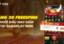 TẶNG 20 VÒNG QUAY MIỄN PHÍ – KHỞI ĐẦU MAY MẮN TẠI SABAPLAY W88