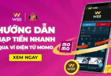 NẠP MOMO SIÊU TỐC – TIỆN LỢI – AN TOÀN TẠI W88