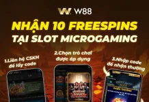 NHẬN CODE 10 VÒNG QUAY MIỄN PHÍ TẠI SLOT MICRGAMING