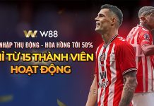 BÍ QUYẾT THÀNH CÔNG CỦA ĐẠI LÝ W88 – BỨT PHÁ THU NHẬP