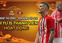 BÍ QUYẾT TẠO THU NHẬP CAO DÀNH CHO ĐẠI LÝ W88