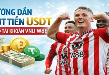 HƯỚNG DẪN RÚT TIỀN USDT CHO TÀI KHOẢN VND W88