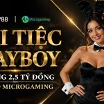 HÒA NHỊP ĐẠI TIỆC PLAYBOY CASINO MICROGAMING VỚI TỔNG GIẢI THƯỞNG TIỀN MẶT ĐẾN 2,5 TỶ ĐỒNG