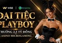HÒA NHỊP ĐẠI TIỆC PLAYBOY CASINO MICROGAMING VỚI TỔNG GIẢI THƯỞNG TIỀN MẶT ĐẾN 2,5 TỶ ĐỒNG