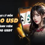 ĐẠI LÝ WORLD CUP USDT – CƠ HỘI NHẬN THƯỞNG TỚI 2,000 USD