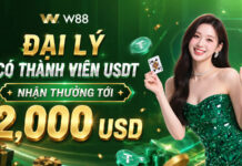 ĐẠI LÝ CÓ THÀNH VIÊN USDT – NHẬN THƯỞNG TỚI 2,000 USD