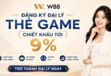 WORLD CUP ĐÃ ĐẾN – GIA NHẬP ĐẠI LÝ THẺ GAME W88 NGAY HÔM NAY