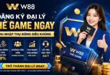 WORLD CUP ĐÃ ĐẾN – GIA NHẬP ĐẠI LÝ THẺ GAME W88 NGAY HÔM NAY