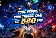 CƯỢC ESPORTS RINH THƯỞNG CHẤT TỚI 580 VND