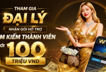TẠO TÀI KHOẢN ĐẠI LÝ W88 – HỖ TRỢ ĐẾN 100 TRIỆU PHÁT TRIỂN THÀNH VIÊN
