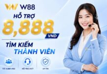 THAM GIA ĐẠI LÝ W88 – NHẬN NGAY HỖ TRỢ 8.888 VND TÌM KIẾM THÀNH VIÊN