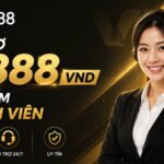 THAM GIA ĐẠI LÝ W88 – NHẬN NGAY HỖ TRỢ 8.888 VND TÌM KIẾM THÀNH VIÊN