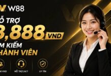 THAM GIA ĐẠI LÝ W88 – NHẬN NGAY HỖ TRỢ 8.888 VND TÌM KIẾM THÀNH VIÊN