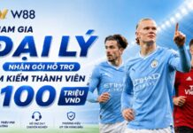 MÙA GIẢI MỚI ĐẠI LÝ W88 – HỖ TRỢ ĐẾN 100 TRIỆU PHÁT TRIỂN THÀNH VIÊN