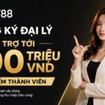 ĐĂNG KÝ ĐẠI LÝ – HỖ TRỢ TỚI 100 TRIỆU VND