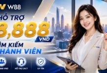 THAM GIA ĐẠI LÝ W88 – NHẬN NGAY HỖ TRỢ 8.888 VND TÌM KIẾM THÀNH VIÊN