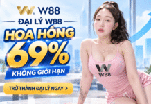 ĐẠI LÝ W88 – HOA HỒNG LÊN ĐẾN 69%, CHỈ TỪ 15 THÀNH VIÊN HOẠT ĐỘNG