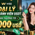 THƯỞNG ĐẠI LÝ CÓ THÀNH VIÊN USDT LÊN ĐẾN 2.000 USD