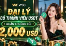 THƯỞNG ĐẠI LÝ CÓ THÀNH VIÊN USDT LÊN ĐẾN 2.000 USD
