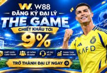 CHIẾT KHẤU TỚI 9% – BẮT ĐẦU KINH DOANH CÙNG W88